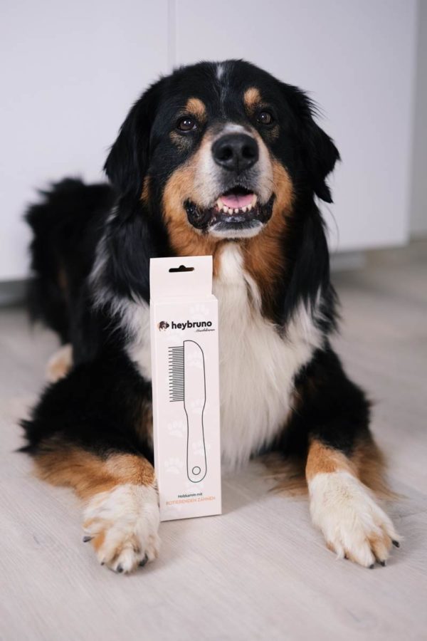 heybruno Hundekamm mit Verpackung und Hund Bruno