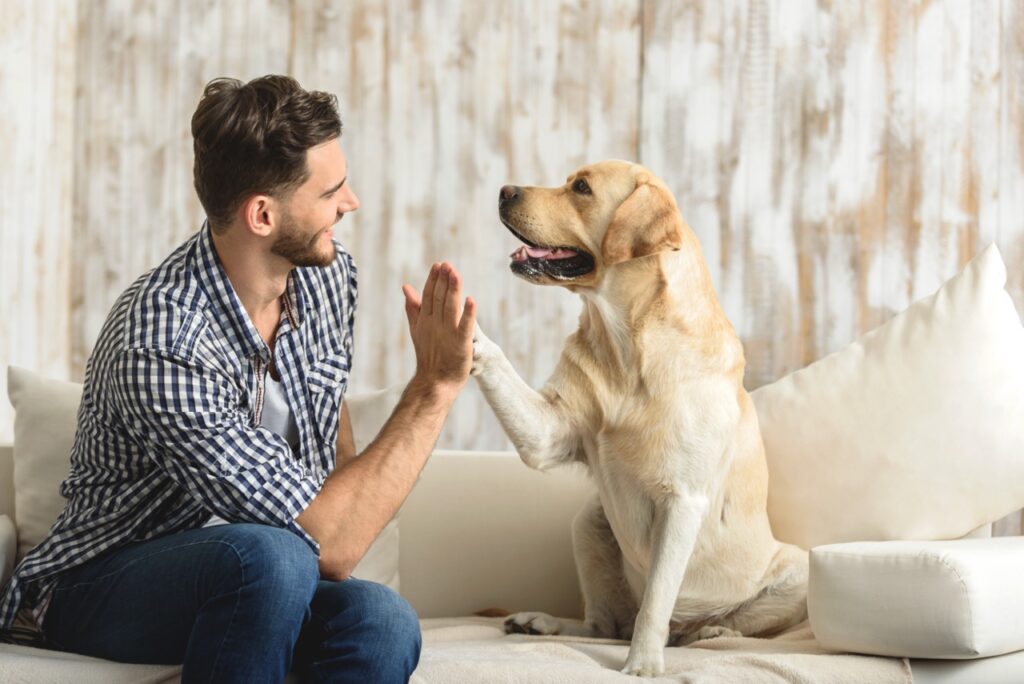 Hunde Pfotenpflege